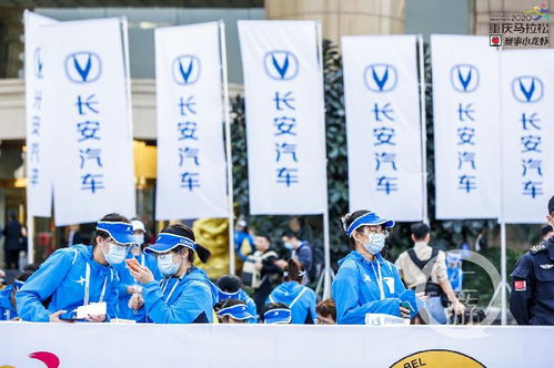 重馬十年 | 年入百萬，重馬造就財富新機遇——重慶創業團隊順富醫藥的崛起之路